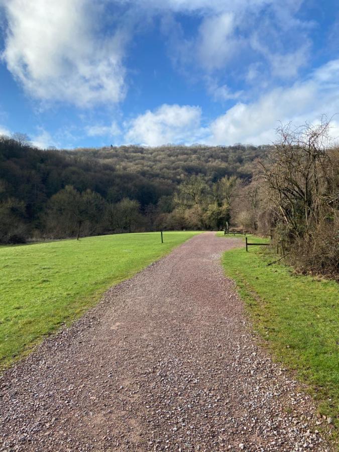 Stunning Symonds Yat Holiday Cottage Eksteriør billede