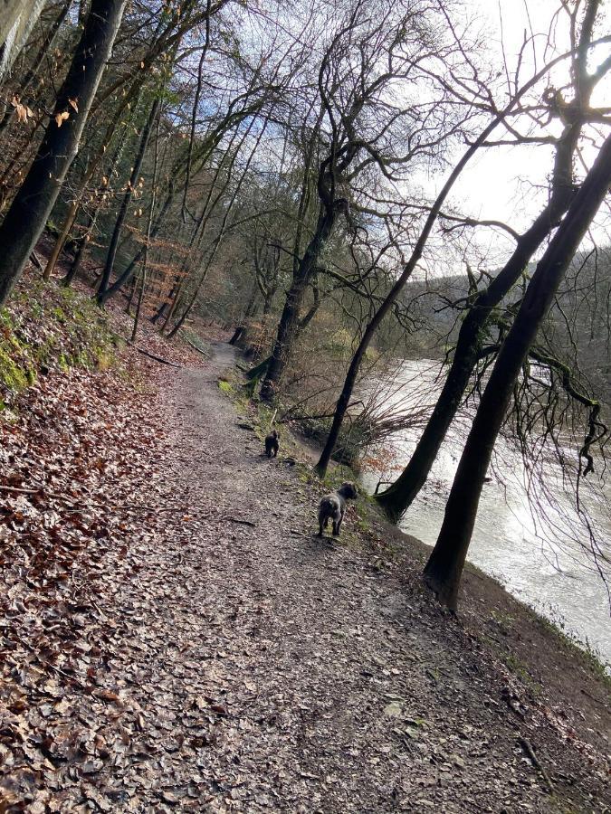 Stunning Symonds Yat Holiday Cottage Eksteriør billede